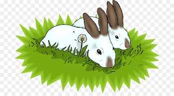 Clip art Openclipart European rabbit Free content - rabbit 