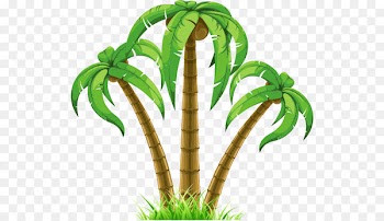 Clip art Openclipart Palm trees Image Free content - leaf swag 