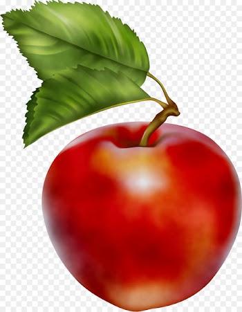 Clip art Openclipart Portable Network Graphics Image Free content -  