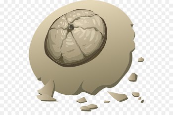 Clip art Openclipart Public domain Computer Icons Free content - barnacle streamer 