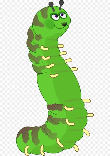 Clip art Openclipart Vector graphics Caterpillar Free content - caterpillar 