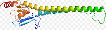 Clip art Organism Line Text messaging - iep 