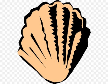 Clip art Oyster Bivalvia Vector graphics Clam - seashell 