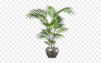Clip Art Palm Tree, Palm Tree In Pot Png Transparent - Palm Tree In Pot Png