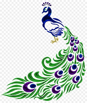 Clip art Peafowl Vector graphics Image Drawing - peackock stamp 