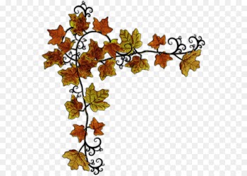 Clip art Picture Frames Leaf Photography GIF -  