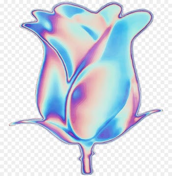clip art plant morning glory flower