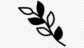 Clip art Plant stem Flower Leaf Line -  