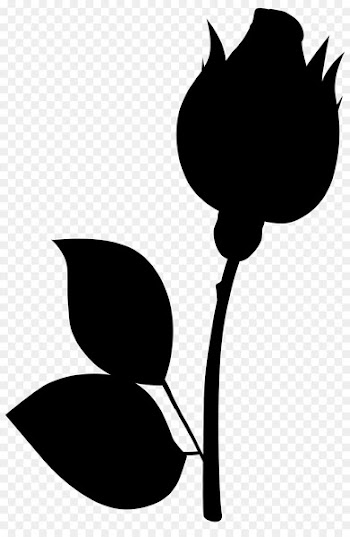 Clip art Plant stem Flower Leaf Plants -  