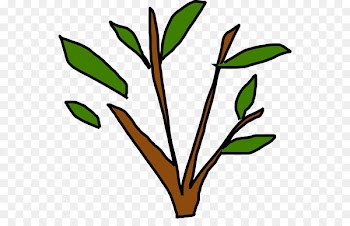 Clip art Plant stem Leaf Flower Line - picea graphic 