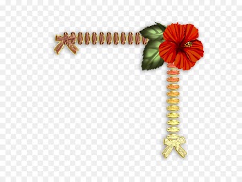 Clip art Portable Network Graphics Borders and Frames Image Drawing - borderspng background 