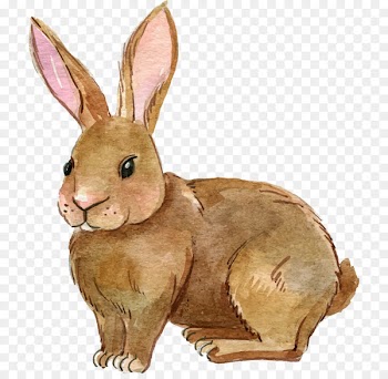 Clip art Portable Network Graphics European rabbit Image - rabbit 