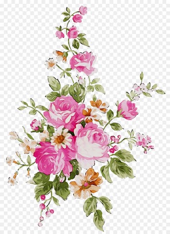 Clip art Portable Network Graphics Flower Image Vector graphics -  