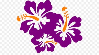 Clip art Portable Network Graphics Hawaiian hibiscus Openclipart Image - trio icon 