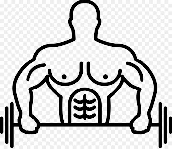 Clip art Portable Network Graphics Human body Muscle - man 