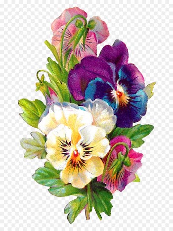 Clip art Portable Network Graphics Illustration Image Pansy - flower 