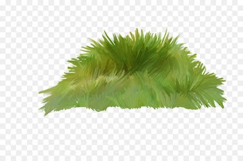 Clip art Portable Network Graphics Illustration Photography - grass transparency and translucency 
