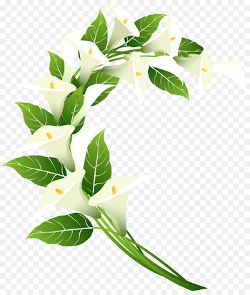 Clip art Portable Network Graphics Image Design Transparency - calla flag 