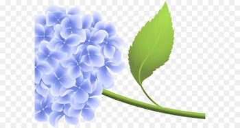 Clip art Portable Network Graphics Image Desktop Wallpaper Illustration - violet 