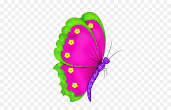 Clip art Portable Network Graphics Image Drawing Butterfly - pinceladas cartoon 