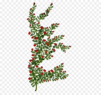 Clip art Portable Network Graphics Image Free content Vector graphics - pink flower bush name 