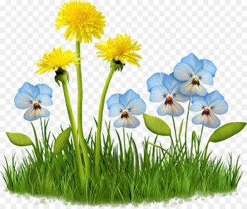 Clip art Portable Network Graphics Image Illustration Vector graphics - dandelion meadow 