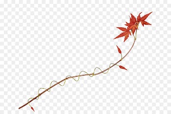 Clip art Portable Network Graphics Leaf Branch Tree - flower line drawings 
