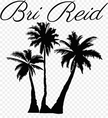 Clip art Portable Network Graphics Palm trees Coconut Illustration - coconut 