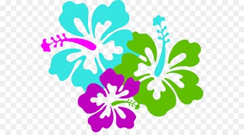 Clip art Portable Network Graphics Rosemallows Computer Icons Free content - trio 