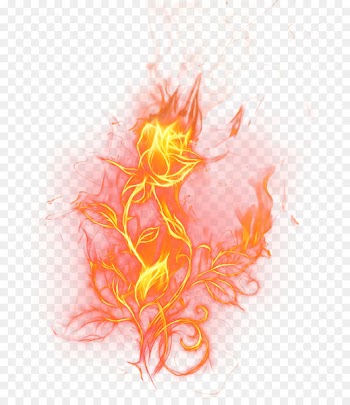 Clip art Portable Network Graphics Transparency Image Vector graphics - firework background 