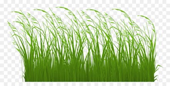 Clip art Portable Network Graphics Transparency Openclipart Free content - chives background 