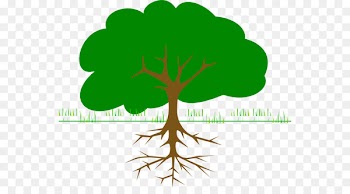 Clip art Portable Network Graphics Tree Trunk Openclipart - tbi graphic 