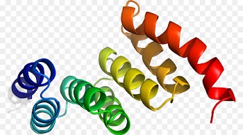 Clip art Product design Line - aavp7 a1 