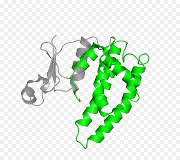 Clip art Product design Organism Line - glutathione poster 