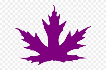 Clip Art Purple Leaves - Purple Maple Leaf Clipart