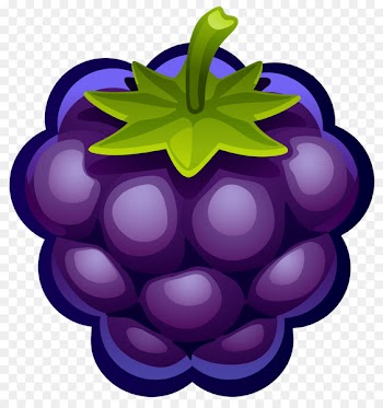 Clip art Raspberry Portable Network Graphics Transparency Berries - raspberry 