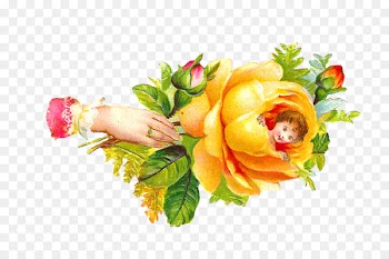 Clip art Rose Flower Floral design Image - bs stamp 