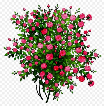 Clip art Rose Portable Network Graphics Free content Image -  