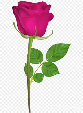 Clip art - Rose with Stem Pink PNG Clip Art Image 