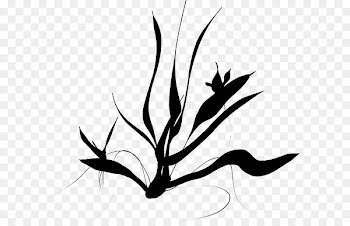 Clip art Scalable Vector Graphics Java Computer file - arbuste graphic 