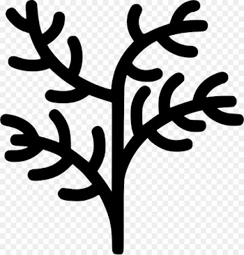 Clip art Scalable Vector Graphics Portable Network Graphics Computer Icons - dill icon 