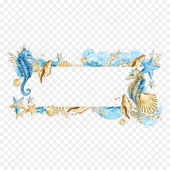 Clip art - Shells Starfish Border 
