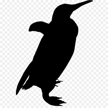 Clip art Silhouette Bird Penguin Vector graphics -  