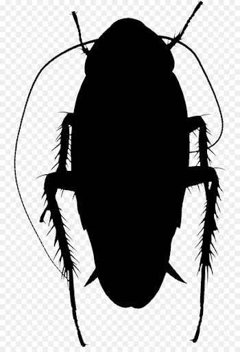 Clip art Silhouette Insect Membrane -  