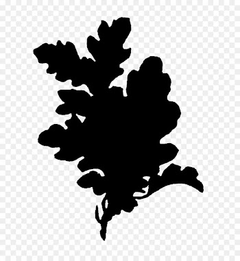 Clip art Silhouette Leaf Flowering plant Plants -  