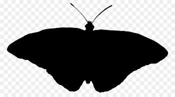 Clip art Silhouette M. Butterfly Black M -  