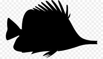 Clip art Silhouette Portable Network Graphics Fish Image -  