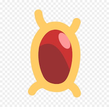 Clip art Smallpox vaccine Smallpox vaccine BrainPop - disease badge 