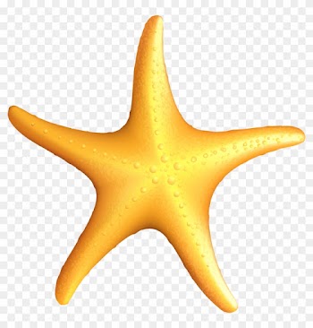 Clip Art Starfish - Starfish Clipart