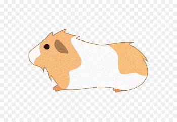 Clip art Sticker Image Illustration Decal - roda hamster 